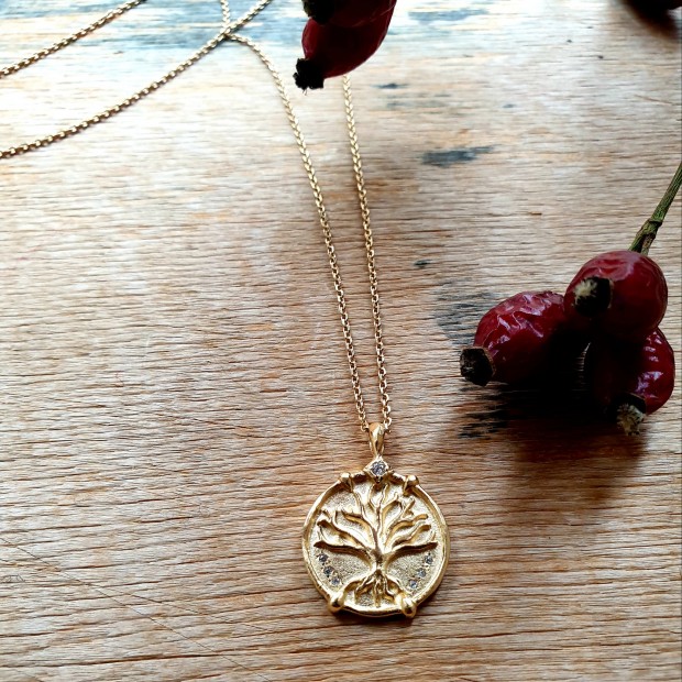 Hanka IN kaklo papuošalas su cirkonio medalionu 